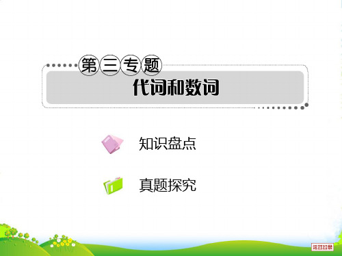 高考英语一轮复习考案 语法考点讲练第三专题 代词和数词课件