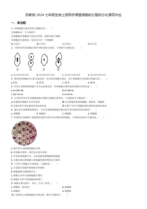 苏教版2024七年级生物上册同步课堂细胞的分裂和分化课后作业