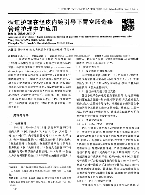 循证护理在经皮内镜引导下胃空肠造瘘管道护理中的应用