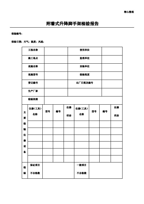 附着式升降脚手架检验报告