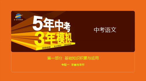 2020版中考语文复习专题一  字音与字形