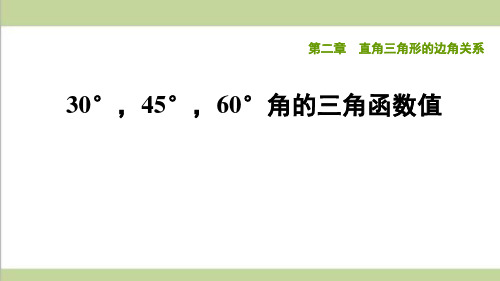 鲁教版九年级上册初中数学 2.2 30°,45°,60°角的三角函数值 重点习题练习课件PPT