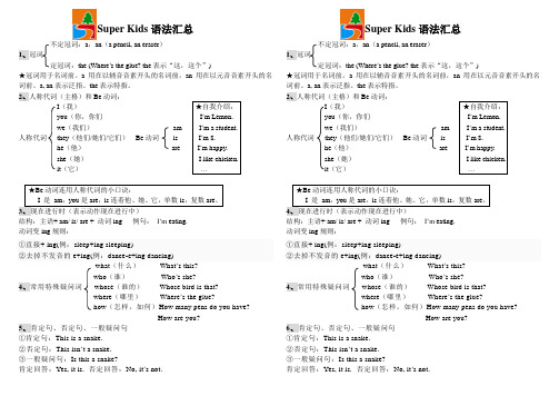 SuperKids 英语语法知识点总结