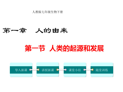 七年级生物下册第一章第一节  人类的起源和发展(课件)