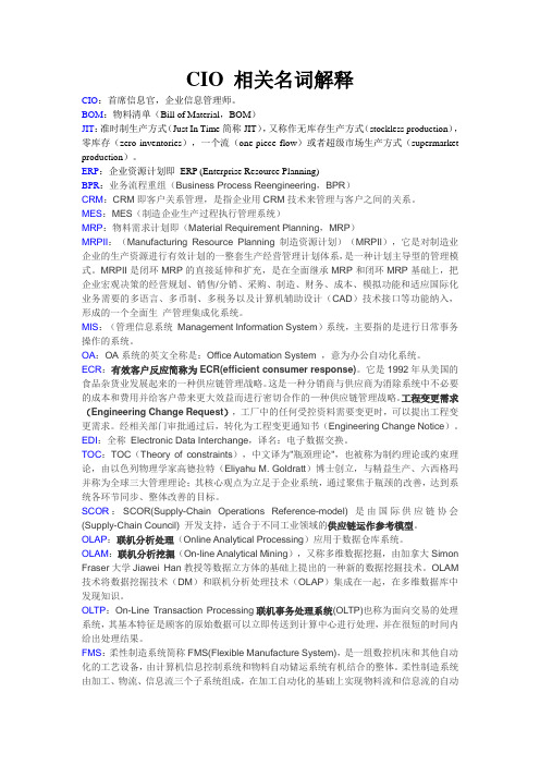 CIO相关名词解释