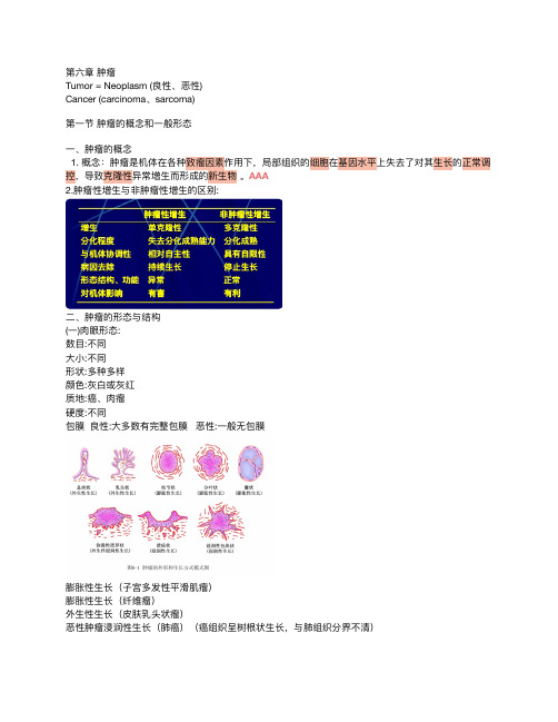 病理学6章肿瘤与12章淋巴造血系统疾病重点知识点归纳