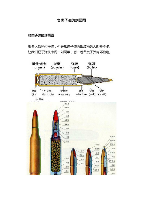 各类子弹的剖面图