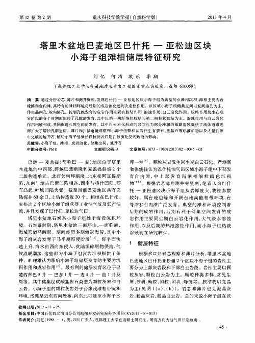 塔里木盆地巴麦地区巴什托—亚松迪区块小海子组滩相储层特征研究