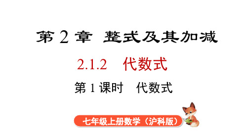 2.1.2 第1课时 代数式的用法  课件 2024-2025-沪科版(2024)数学七年级上册