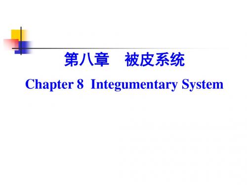 第八章皮肤及其附属结构