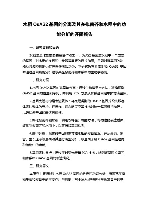 水稻OsAS2基因的分离及其在拟南芥和水稻中的功能分析的开题报告