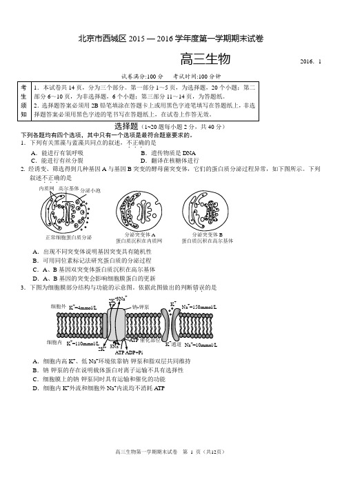 2016西城期末生物试题及答案精要