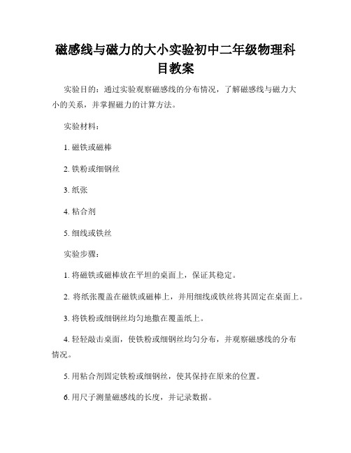 磁感线与磁力的大小实验初中二年级物理科目教案