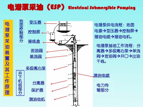第三章(电泵采油)3