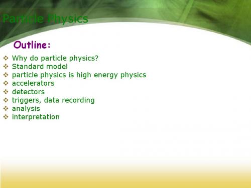 Particle Physics