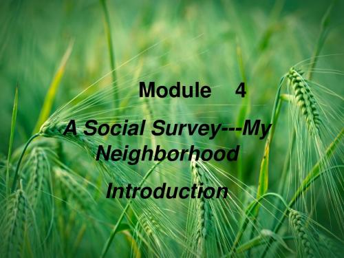 Module4 A Social Survey My Neighbourhood introduction1课件 外研版必修1 课件