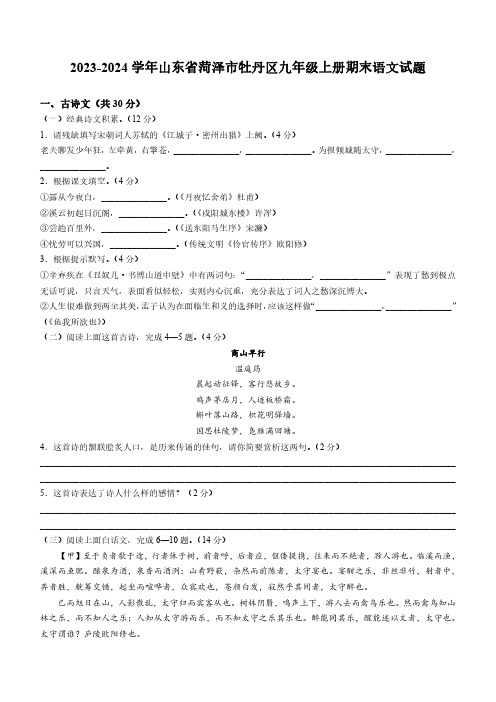 2023-2024学年山东省菏泽市牡丹区九年级上册期末语文试题(含答案)