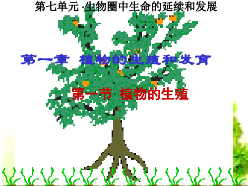 人教版《植物的生殖》_PPT-优秀版