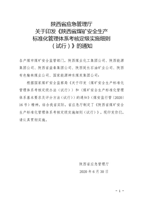 陕西省煤矿安全生产标准化管理体系基本要求及评分方法(试行)