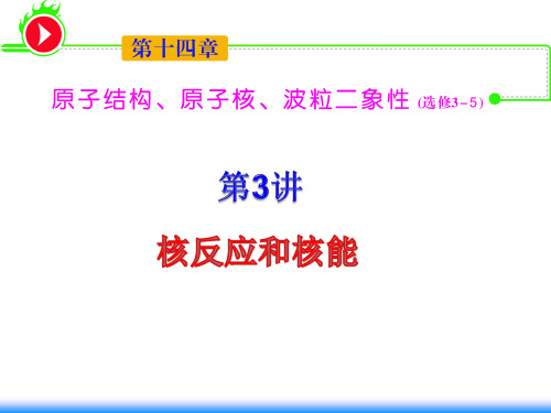 湖南人教新课标高中总复习第1轮物理第14章第3讲核反应和核能