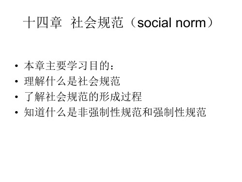 第13章  社会规范(social norm)