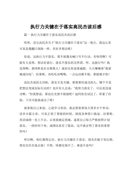 执行力关键在于落实高民杰读后感