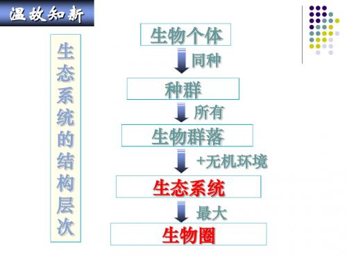 5.1生态系统的结构