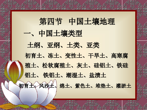 中国地理第三章中国自然地理结构 第四节 中国土壤地理