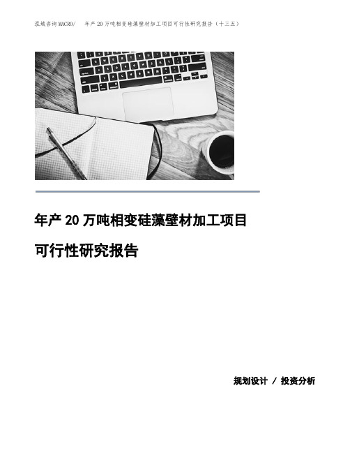 年产20万吨相变硅藻壁材加工项目可行性研究报告(十三五)