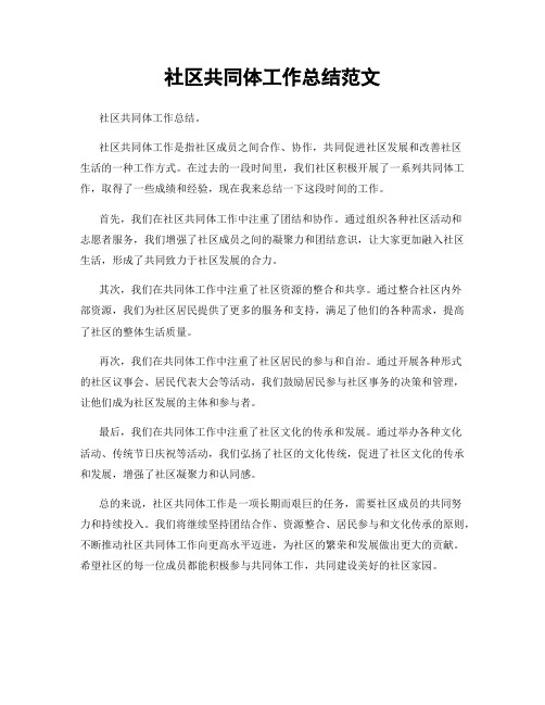 社区共同体工作总结范文