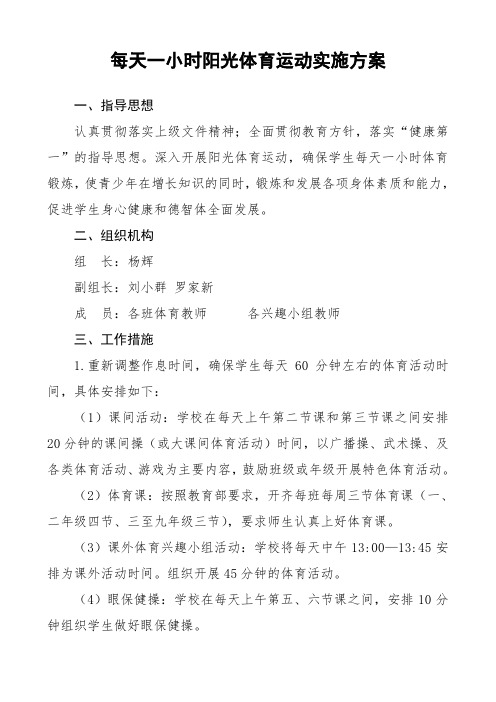 每天一小时阳光体育运动实施方案