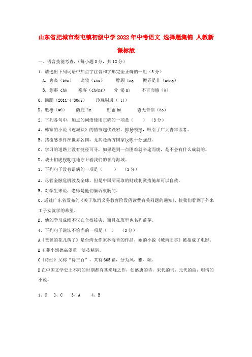 山东省肥城市湖屯镇初级中学2022年中考语文 选择题集锦练习 人教新课标版