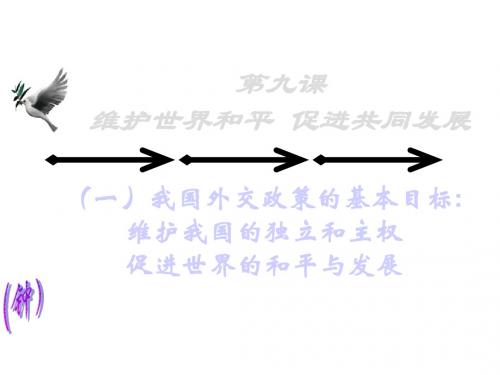 【高中政治】维护世界和平,促进共同发展ppt精品课件6