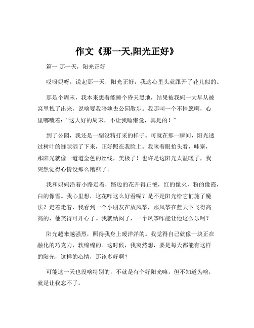 作文《那一天,阳光正好》