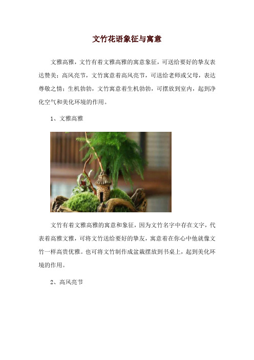 文竹花语象征与寓意