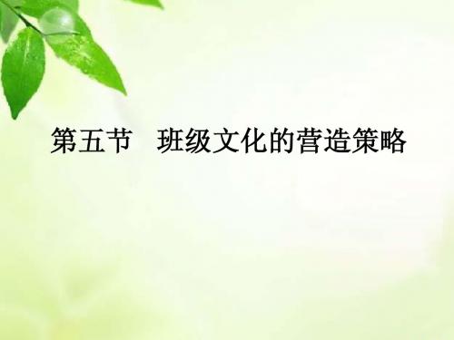 第五节班级文化的营造