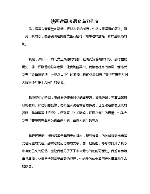 陕西省高考语文满分作文