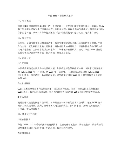 华能ccus可行性研究报告