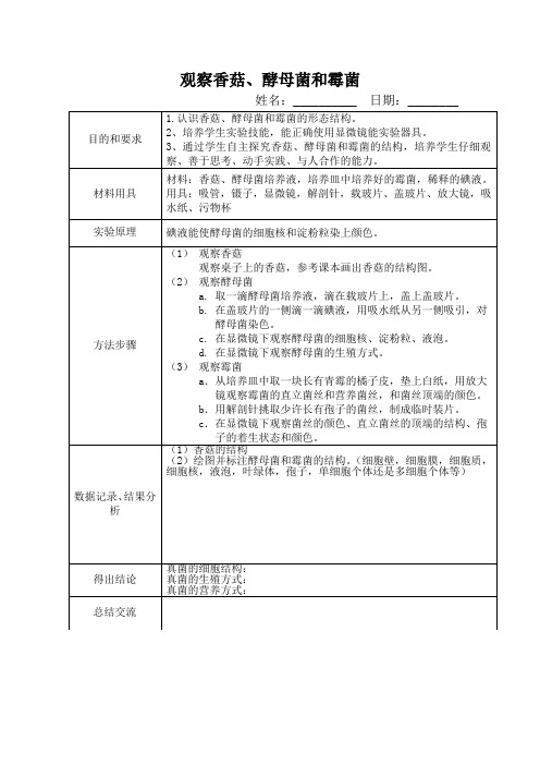 观察香菇、酵母菌和霉菌实验报告