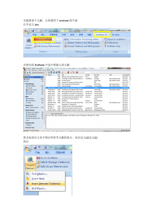 用endnote插参考文献