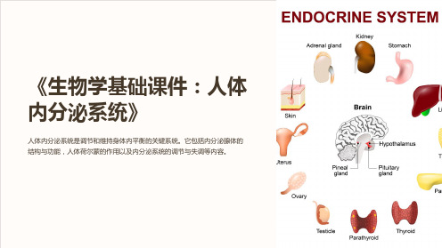 《生物学基础课件：人体内分泌系统》