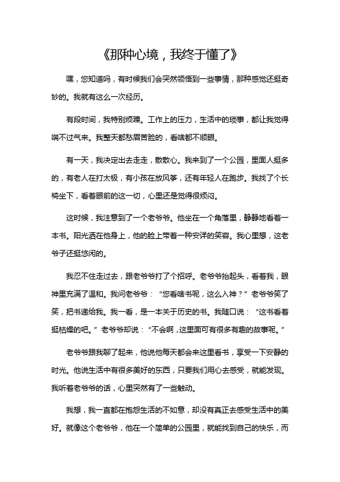 那种心境,我终于懂了作文