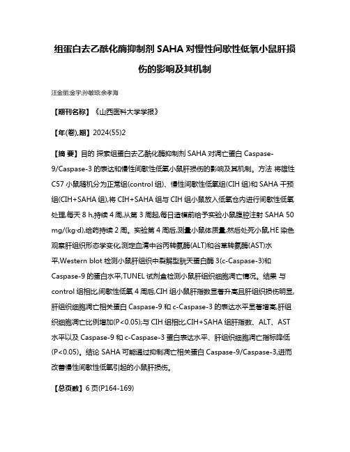 组蛋白去乙酰化酶抑制剂SAHA对慢性间歇性低氧小鼠肝损伤的影响及其机制