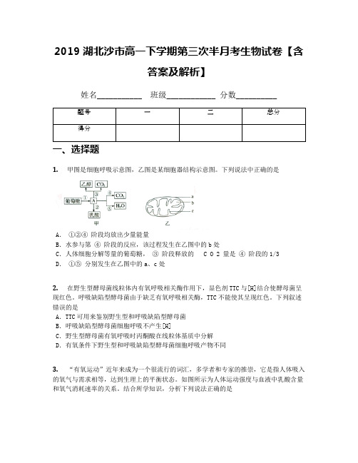 2019湖北沙市高一下学期第三次半月考生物试卷【含答案及解析】