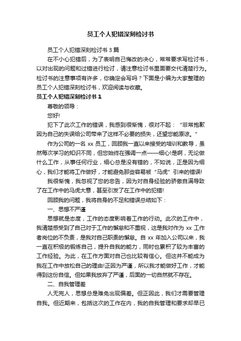 员工个人犯错深刻检讨书3篇