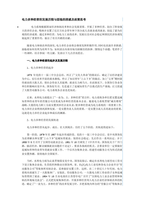 电力多种经营的发展历程与面临的困惑及政策思考