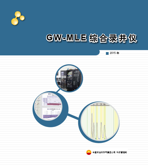 GW-MLE 综合录井仪 - 中国石油天然气集团公司