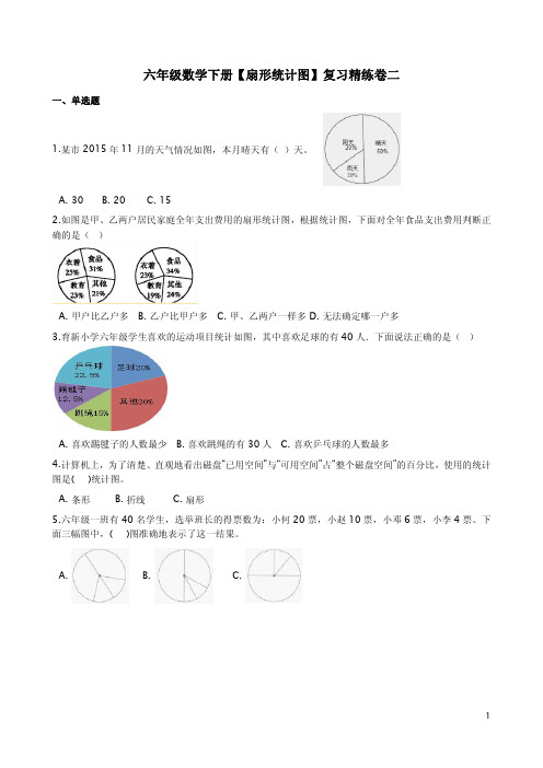 苏教版六年级数学下册【扇形统计图】复习精练卷二附答案解析