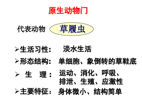 九年级生物原生动物门3 优质课件