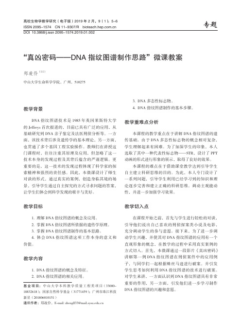 “真凶密码——DNA指纹图谱制作思路”微课教案